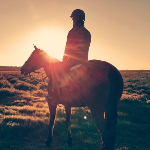 person during a horse trek at sunset