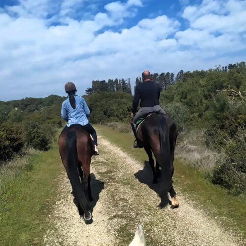 two people take a horseback ride in nature