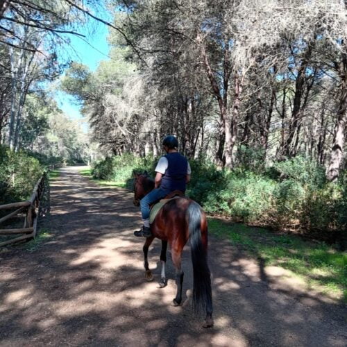 person horseback riding in the Porto Selvaggio Natural Park
