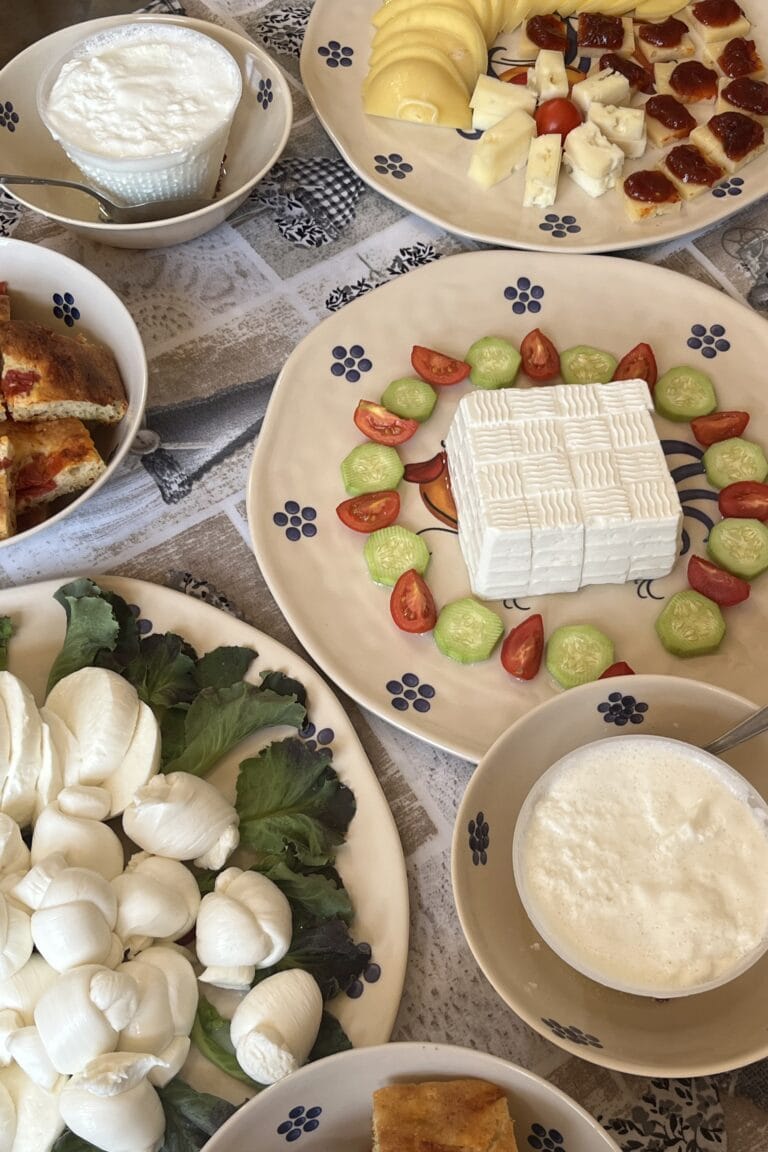 Piatti assortiti con formaggi freschi, focaccia e prodotti tradizionali disposti su una tavola durante una degustazione