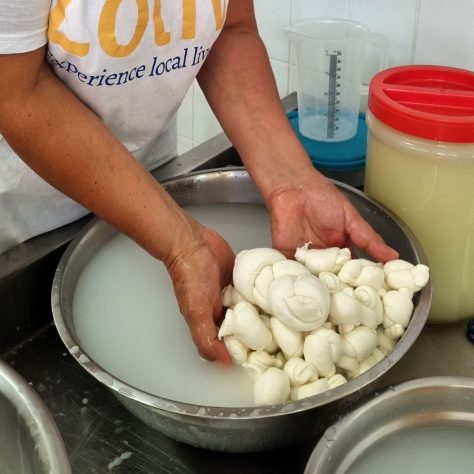 Fresh mozzarella prepared for cheese tasting