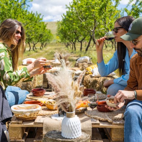 abundant tasting of almonds and almond products paired with typical Apulian food such as focaccia, taralli, olives, wine