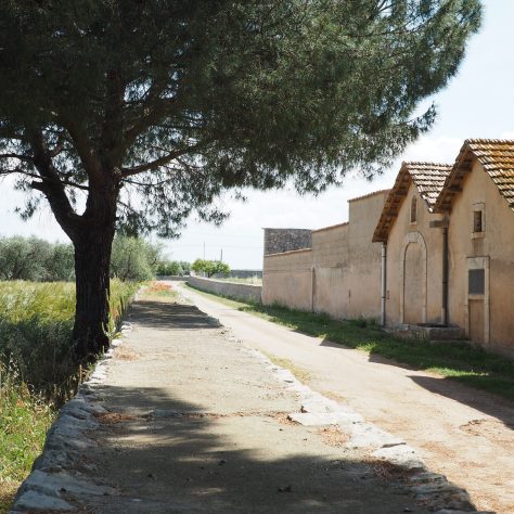 Apulian countryside surrounding the winery where the wine tasting takes place