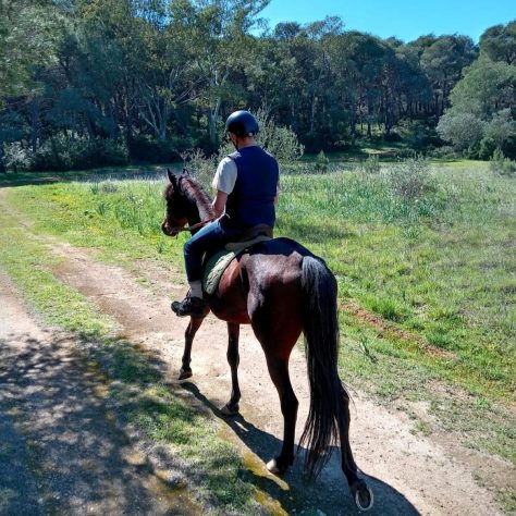 una persona fa l'escursione a cavallo