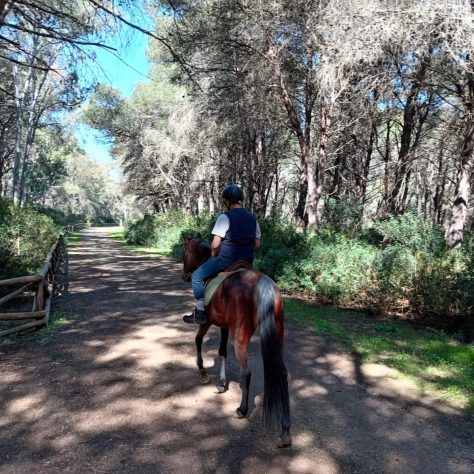 persona a cavallo nel Parco Naturale di Porto Selvaggio