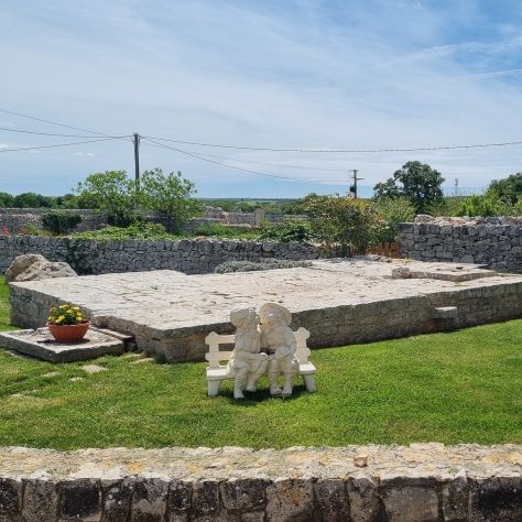 The surroundings of the farm during the visit to the officinal plant garden